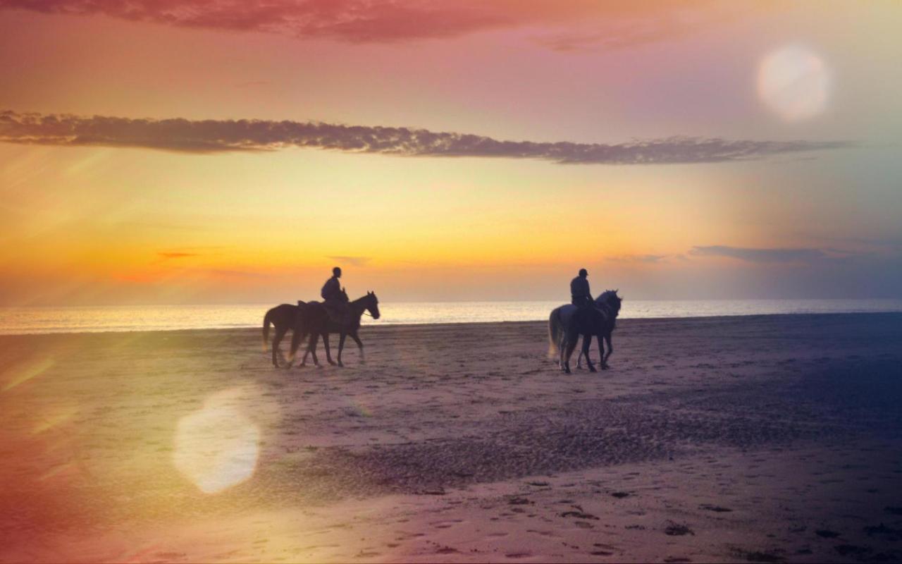 Blue Wave Lodge Agadir n'Ait Sa Zewnętrze zdjęcie